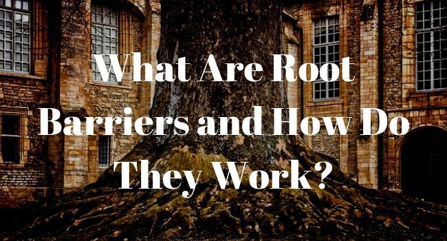 Root-Barriers-How-They-Work