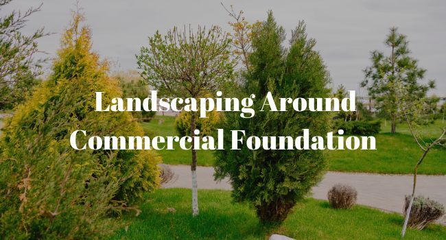Landscaping-Around-Commercial-Foundation-Feature-Image