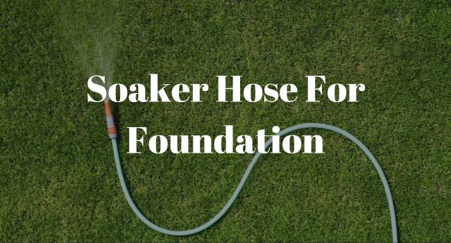 Soaker Hose For Foundation