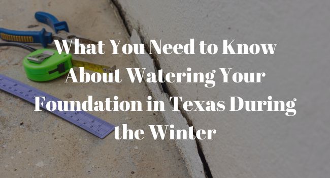 What You Need to Know About Watering Your Foundation in Texas During the Winter