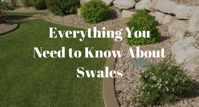 Everything You Need to Know About Swales